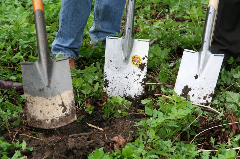 pepiniere-TOURRETTES SUR LOUP-min_work-lawn-flower-tool-green-backyard-1103633-pxhere.com